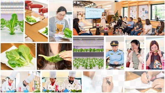 图：6月6日，15位大众评审对决赛团队种植的“翠恬”生菜进行试吃、打分，上海市长宁区市场监管工作人员进行了现场快检。